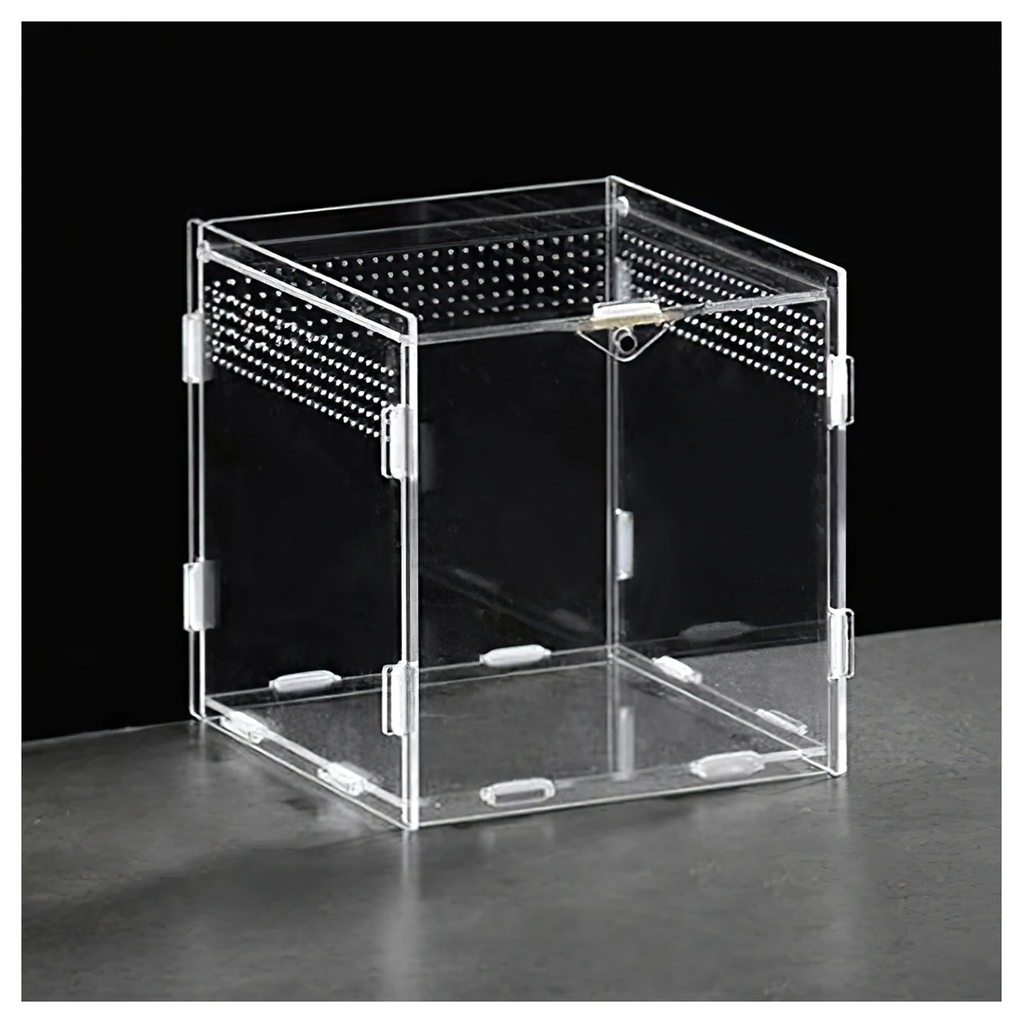 Hermit Crab Reptile Breeding Box Portable Magnetic Absorption Acrylic Transparent Mini Pet Houses For Scorpions Frogs Turtles