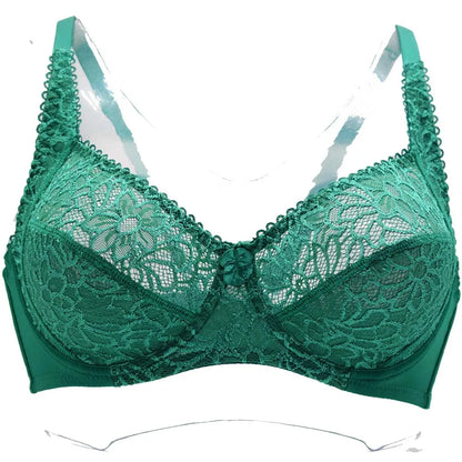 Plus Size Bras For Womens Lace Sexy Bra Perspective Underwire Female Lingerie BH Tops C D DD E F Cup