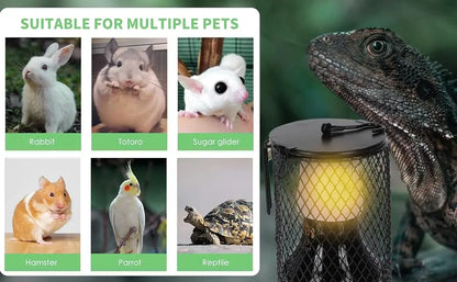 Reptile Lampshade and Holder, Basking Light, Amphibians Pets Health Products, Perfect for Terrariums