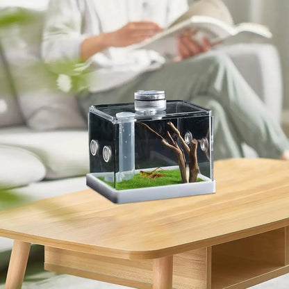 Reptile Hatching Box Reptile Terrariums Enclosure Accessories Amphibian Supplies Feeding Spider Cage Feeding Container For