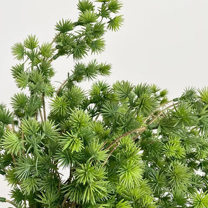 3/5Pcs Artificial Podocarpus Branches Greens for Decoration Christmas Foliage Home DIY Floral Arrangements Artificial Plants