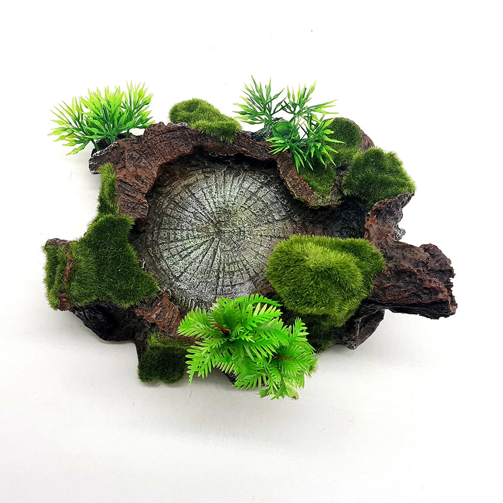 Easy-to-clean Reptile Food Water Bowl Ensuring Hygienic Feeding Experience Reptile Food Water Dish