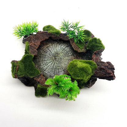 Easy-to-clean Reptile Food Water Bowl Ensuring Hygienic Feeding Experience Reptile Food Water Dish