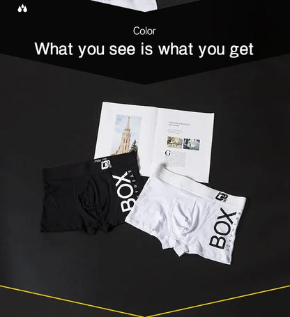 Men Underwear Boxer Cotton Floor Price Mens Underpants Comfortable Underwear Male Panties Breathable U Pouch Men Shorts