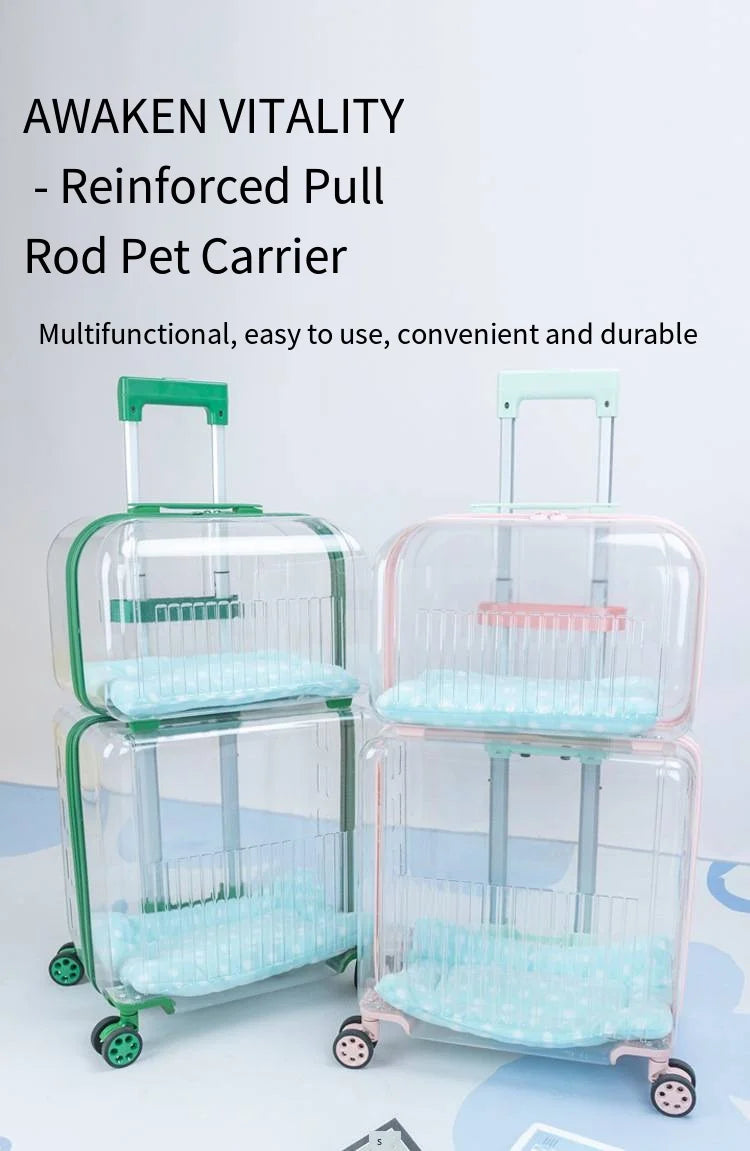 Pet Outdoor Suitcase Portable Car Mounted Double-layer Transparent Breathable Cat and Dog Tour Cat Bag