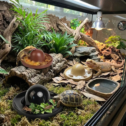 Plastic Reptile Feeder Bowl Round Wear Resistant Turtle Food Dish Escape Proof Wide Mouth Feeder Ledge for Amphibians