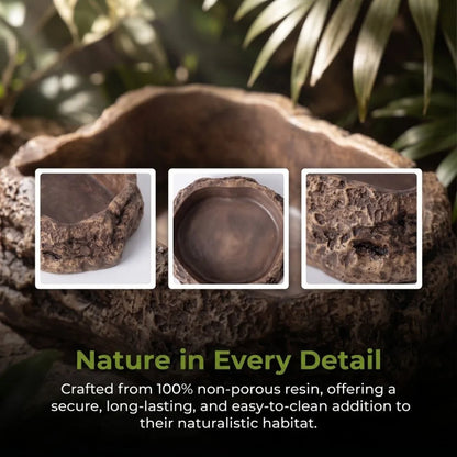 Anti-slip Climbing Pet Food Bowl Easy Clean Realistic Stone Reptile Drinking Water Feeding Tray Safe Durable Reptile Food Bowl