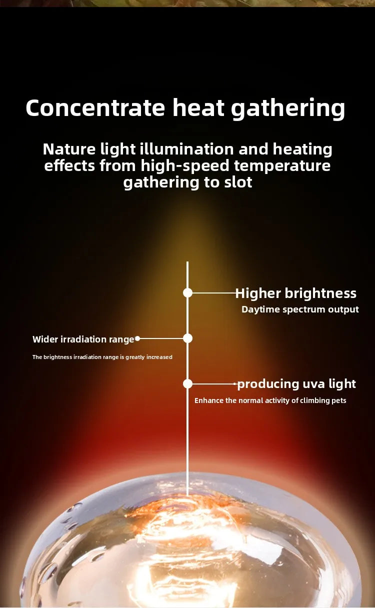 SuperRep Reptile Basking Spotlight-UVA Focused Heat Lamp for Tortoises&Bearded Dragons-Adjust Beam Sunning Light for Terrariums
