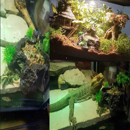 Easy-to-clean Reptile Food Water Bowl Ensuring Hygienic Feeding Experience Reptile Food Water Dish