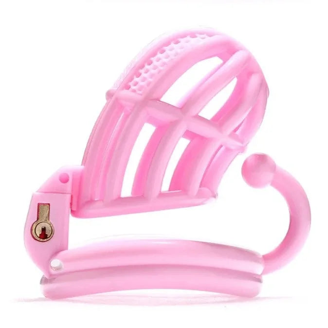 BDSM Chastity Cage 4 Size Ring Penis Cage Device Femdom Restraint Penis Lock Breathable Urethral Lock Bondage Device for Men