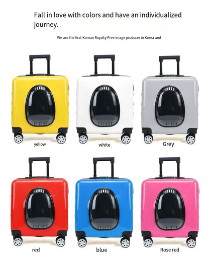 2026 New Multi Functional Small Pet Breathable Box, Cat Suitcase, Comfortable Outdoor Pet Suitcase, Travel Suitcase