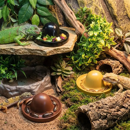 Plastic Reptile Feeder Bowl Round Wear Resistant Turtle Food Dish Escape Proof Wide Mouth Feeder Ledge for Amphibians