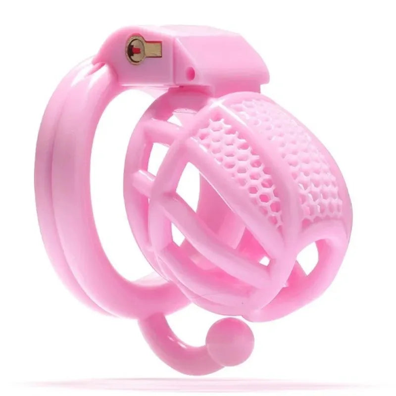 BDSM Chastity Cage 4 Size Ring Penis Cage Device Femdom Restraint Penis Lock Breathable Urethral Lock Bondage Device for Men