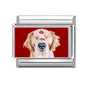 Y2K Red Pink Heart Dog Cat Flowers Italian Charm Link Fit 9mm Stainless Steel Jewelry DIY Making Bracelets For Gifts