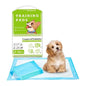 100 Pcs Dog Puppy Pee Pads for Potty Training, Ultra Absorbent Leak-Proof Charcoal Puppy Pads with Adhesive Tapes, Thicked Quick-Dry Disposable Pet Diapers for Indoor Dogs, Gift for Pet Owners New Puppy