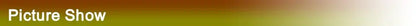 TESIN Car Front Bumper Fog Light Lamp Decoration Cover Trim for Ford Mustang 2015 2016 2017 ABS Lamp Hoods Exterior Accessories