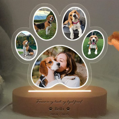 Custom Photo Dog Paw Night Light Personalized Memorial Gift Exquisite Decor for Dog Lovers Exquisite Home Decor Custom Light