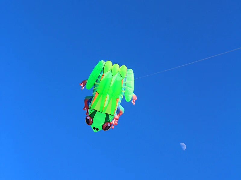 Frog kite cometas profesionales kite flying cerf volant gonflable outdoor games aquilone acrobatico vlieger haspel parplan pipa