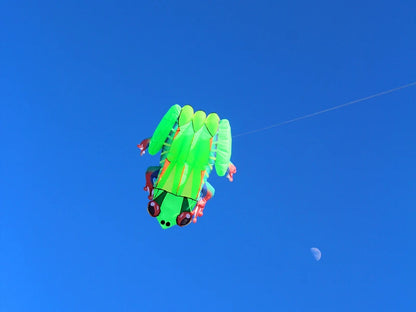 Frog kite cometas profesionales kite flying cerf volant gonflable outdoor games aquilone acrobatico vlieger haspel parplan pipa