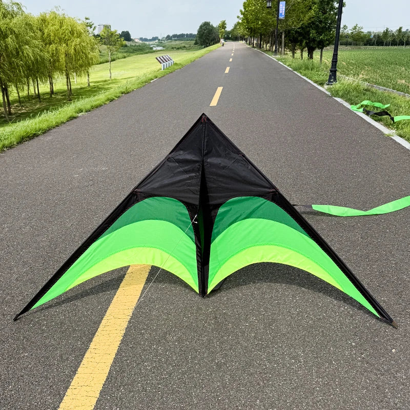 Outdoor Fun Large Delta Kites with 100m Handle Line Flying Toys for Children Kites Outdoor Sports Kites Professional Wind Kites