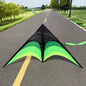 Outdoor Fun Large Delta Kites with 100m Handle Line Flying Toys for Children Kites Outdoor Sports Kites Professional Wind Kites
