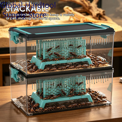 Live Feed Box Set for Bearded Dragons and Chameleons, suitable for raising Dubia roaches and as a small reptile enclosure