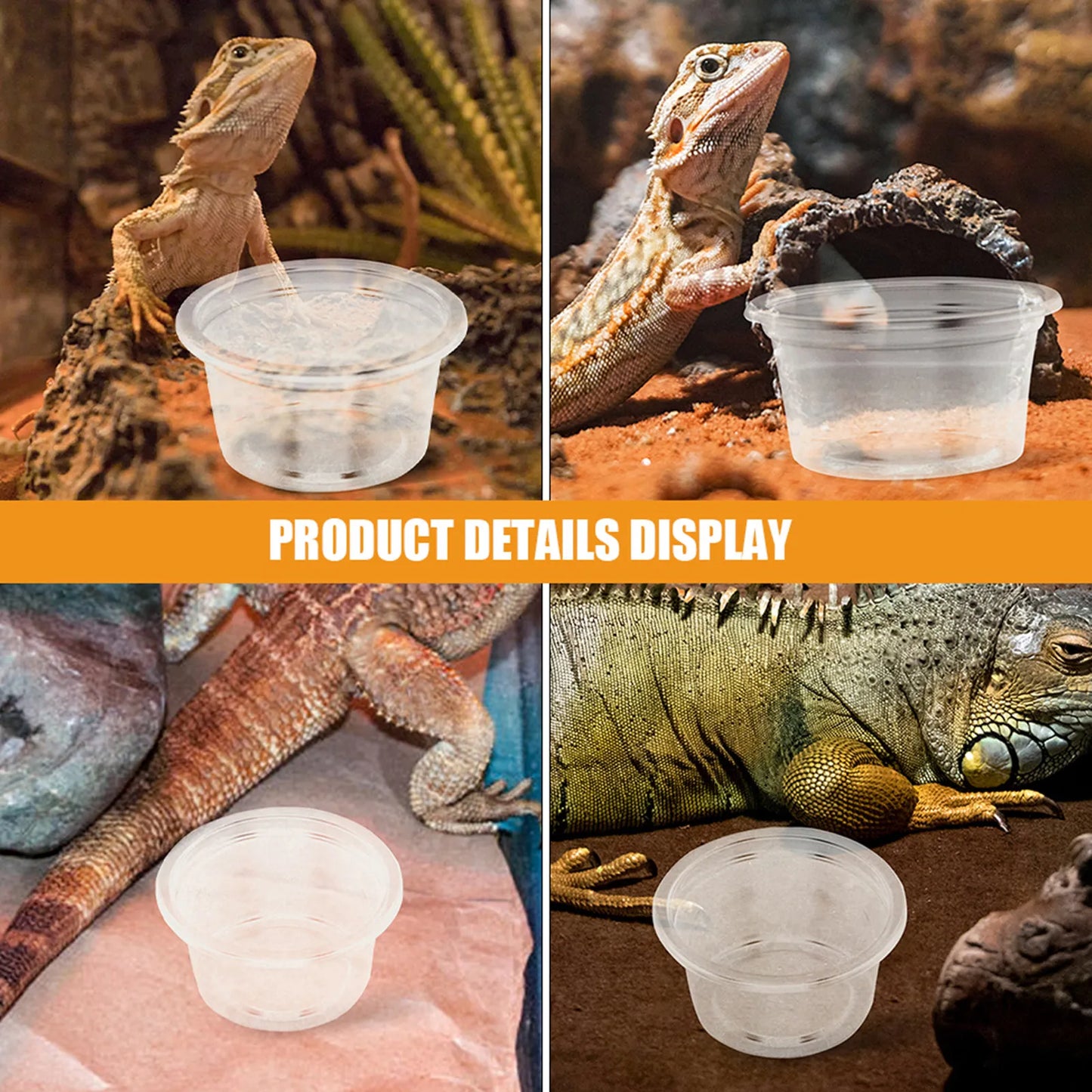 30Pcs Reptile Feeding Dishes Plastic Food Water Bowls for Small Pets Geckos Lizards Snakes Tank Supplies Accessories