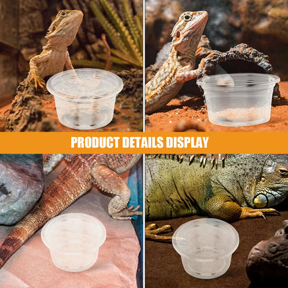 30Pcs Reptile Feeding Dishes Plastic Food Water Bowls for Small Pets Geckos Lizards Snakes Tank Supplies Accessories