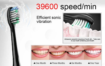 Electric Sonic Toothbrush 8 Brush Heads Smart Ultrasonic Dental Teeth Whitening Rechargeable Adult Tooth Brush Sarmocare S100