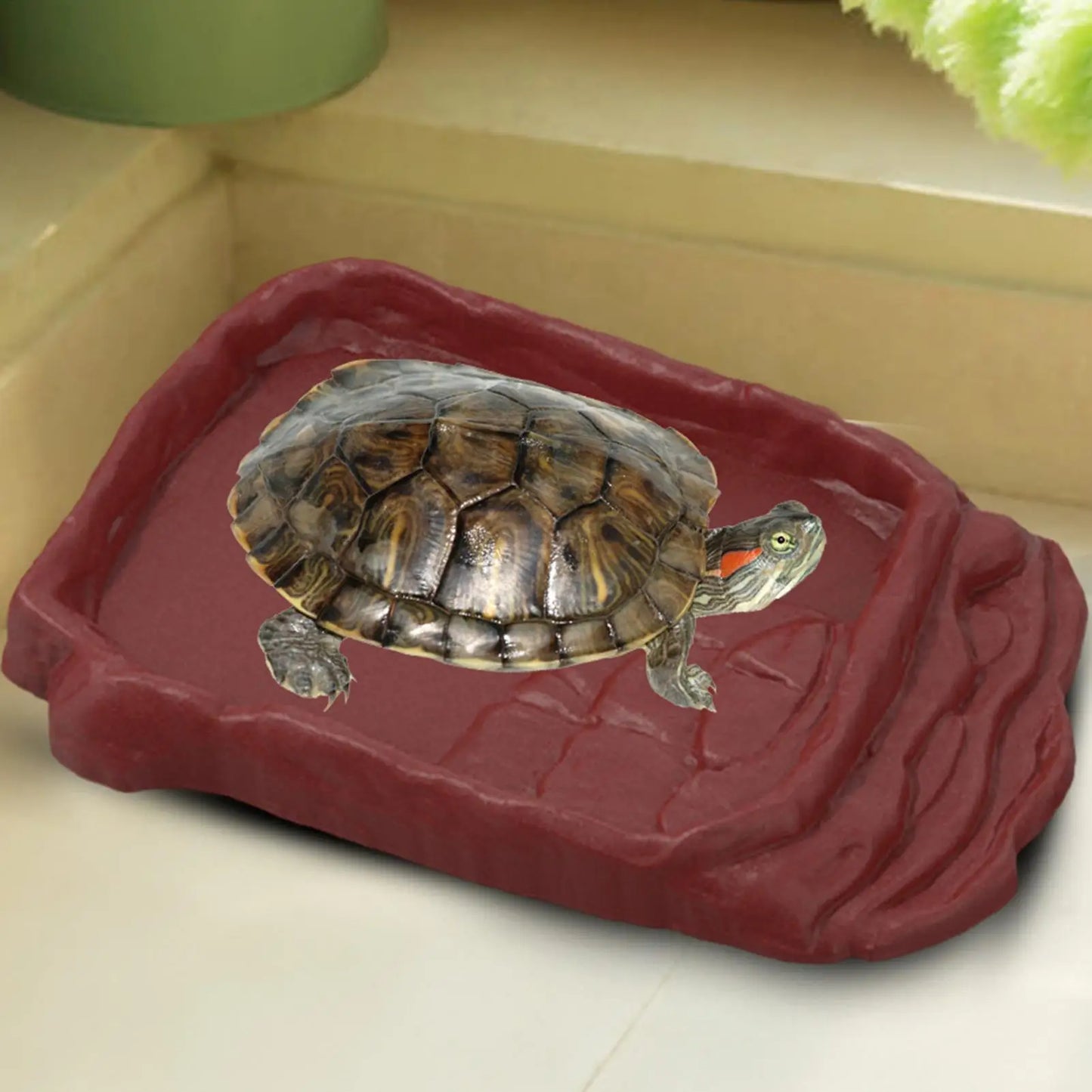 Anti-Slip Ladders Reptile Bowl Reptile Bathing Pool Tortoise Bathtub Water Dish Aquarium Ornament Tortoise Habitat Accessories