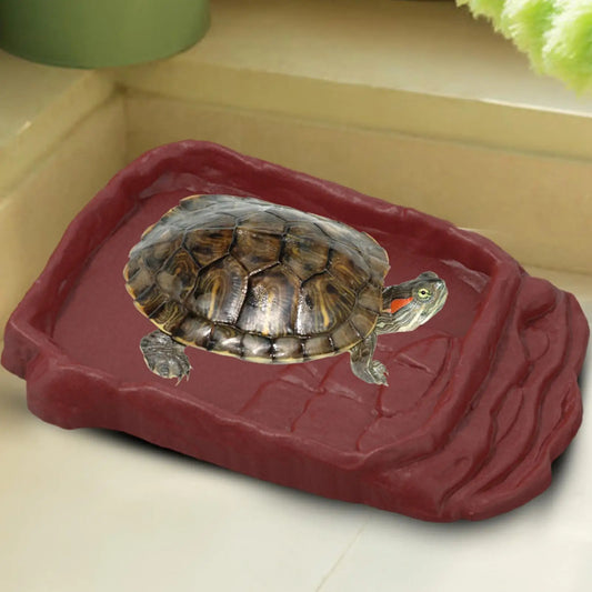 Anti-Slip Ladders Reptile Bowl Reptile Bathing Pool Tortoise Bathtub Water Dish Aquarium Ornament Tortoise Habitat Accessories