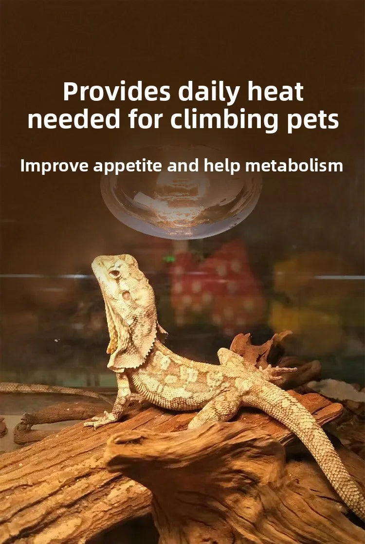 SuperRep Reptile Basking Spotlight-UVA Focused Heat Lamp for Tortoises&Bearded Dragons-Adjust Beam Sunning Light for Terrariums