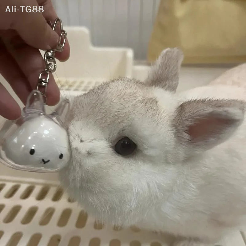 Cartoon Pet Hair Memorial Keyring - Cute Animal Rabbit Fur Organizer Keychain Transparent Storage Box Bag Pendant Pet Souvenirs