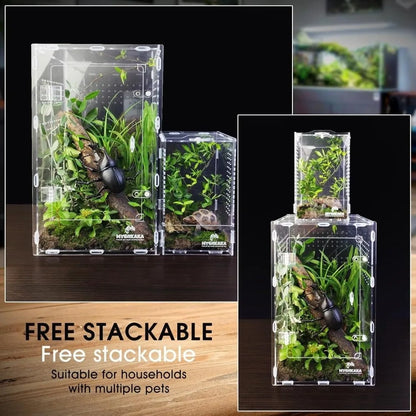 Acrylic Jumping Spider Enclosure Buckle Lock Escape Proof Spider House Ventilated Transparent Reptile Habitat Small Pet Supplies