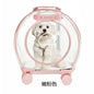pet trolley case portable dog going out transparent trolley bag large capacity two cats