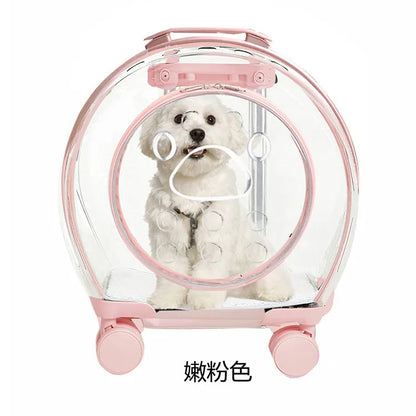 pet trolley case portable dog going out transparent trolley bag large capacity two cats