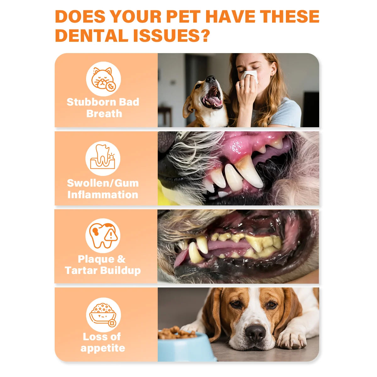GJYC PET Probiotic Pet Dental Care Kit Toothpaste With Toothbrush Finger Brush Reduce Plaque Tartar Freshen Breath For Dogs Cats