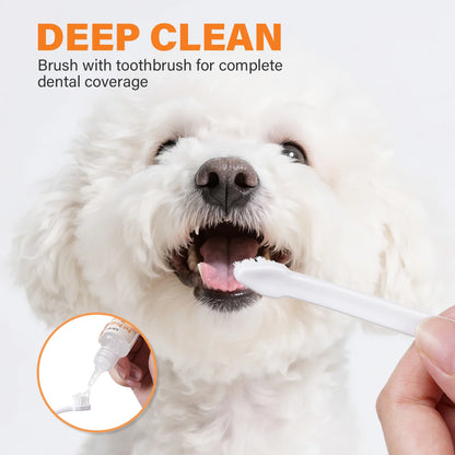GJYC PET Probiotic Pet Dental Care Kit Toothpaste With Toothbrush Finger Brush Reduce Plaque Tartar Freshen Breath For Dogs Cats