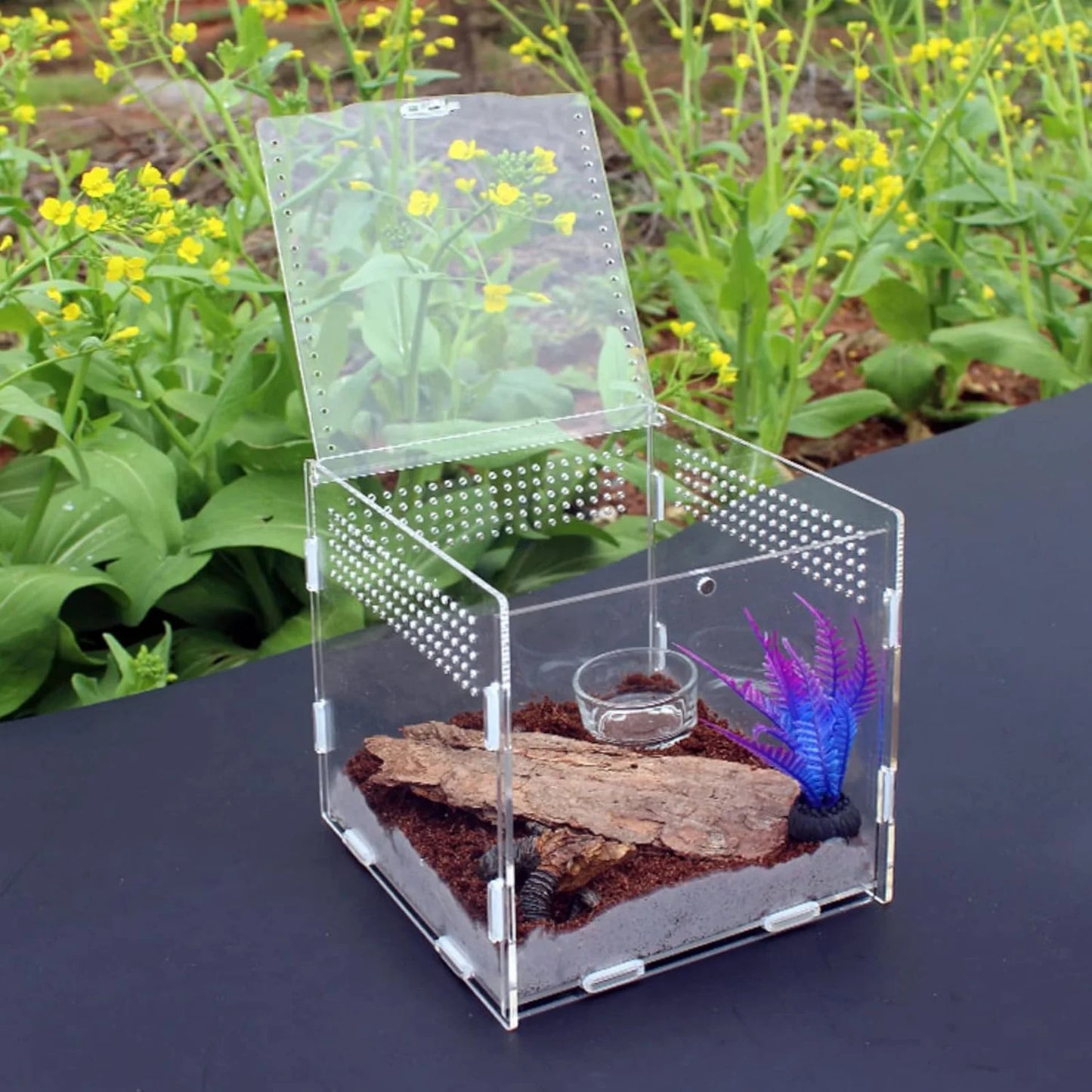 Hermit Crab Reptile Breeding Box Portable Magnetic Absorption Acrylic Transparent Mini Pet Houses For Scorpions Frogs Turtles