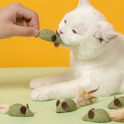 Mouse Cat Toys Catnip Feather Ball Self Cleaning Teeth Interactive Home Chasing Game Toy Products Cat Mint Ball Training Toys
