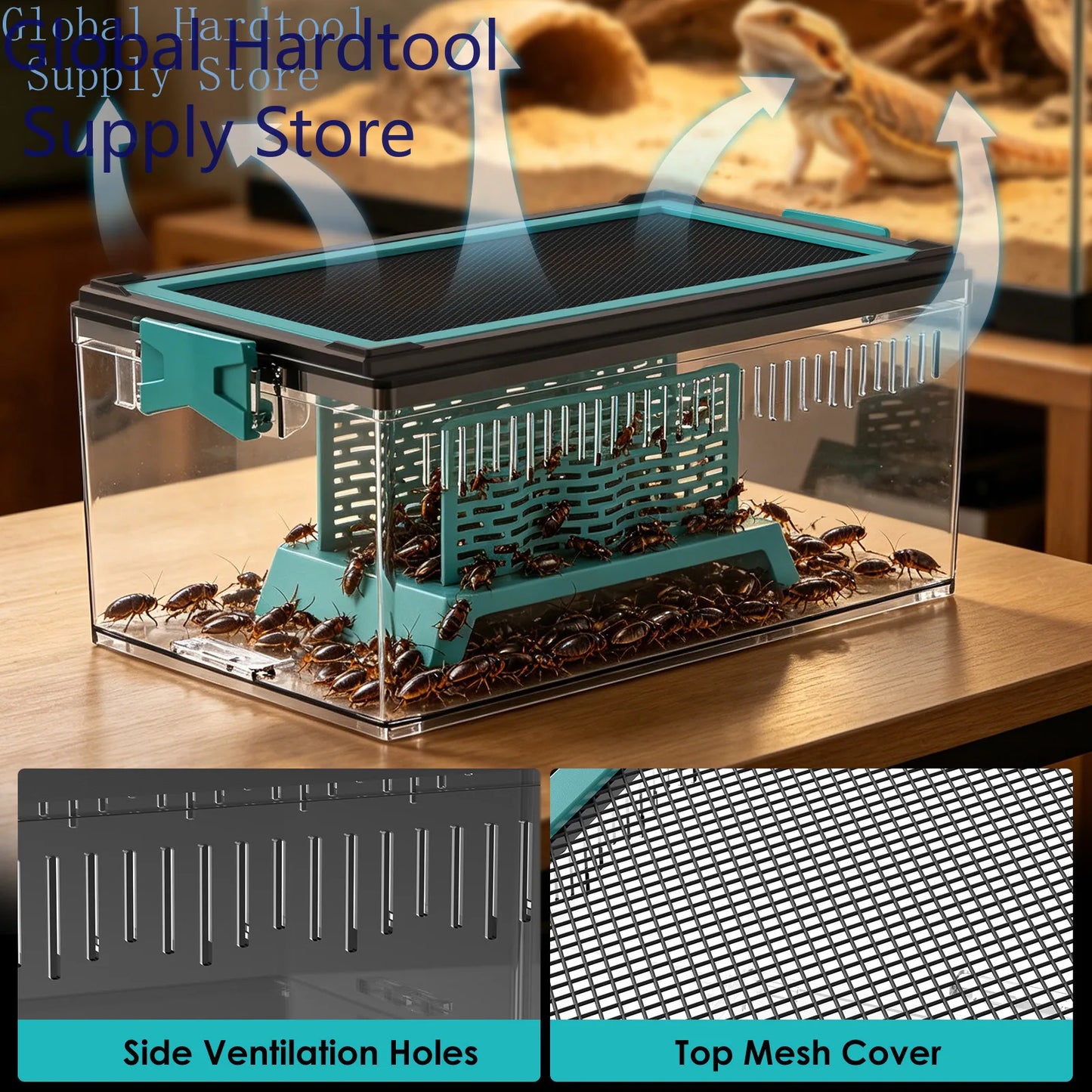 Live Feed Box Set for Bearded Dragons and Chameleons, suitable for raising Dubia roaches and as a small reptile enclosure