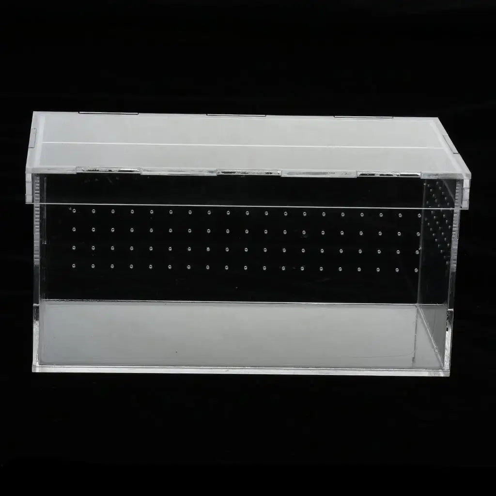 Plastic Reptile Vivarium Terrarium Easy to Observe with Reptile Terrarium Accessories for Small Animal Care