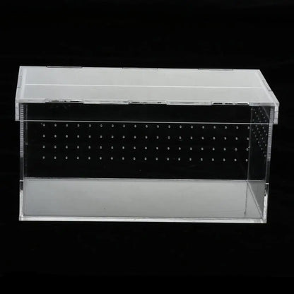 Plastic Reptile Vivarium Terrarium Easy to Observe with Reptile Terrarium Accessories for Small Animal Care