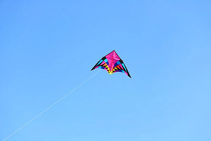 Free shipping large delta kites professional for adults kites flying toys sport kites windsurfing show kites fried flight kites