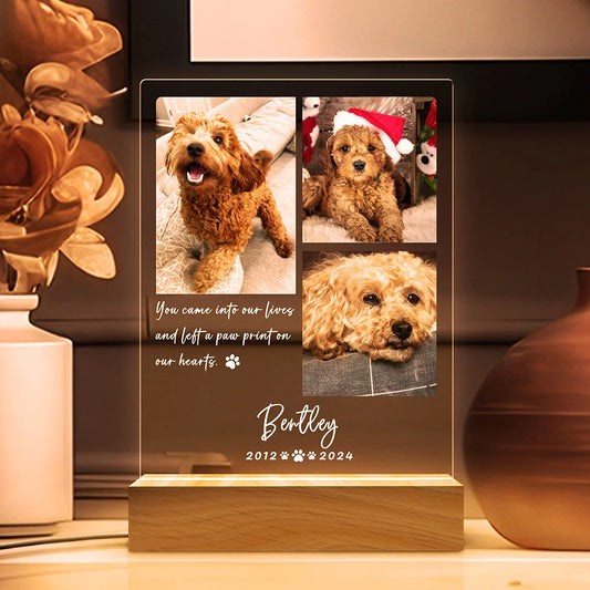 Personalized Photo Night Light Pet Memorial Gift Custom Pet Decor Warm Home Room Ornament Personalized Memorial Gift For Lovers