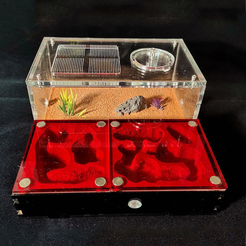 Concrete Ant Farm House Super Large Yellow Mud Ant Nest Gypsum Pet Anthill Insect Castle M Workshop Ant House with Hunting Area