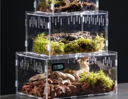 Reptile Habitat Terrarium Breeding Box Acrylic Case Nano Arboreal Tarantula Enclosure Spider Scorpion Bearded Dragon Habitat