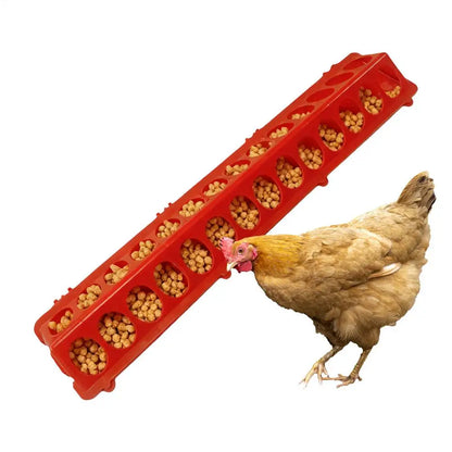 Pigeon Feeder 28-hole Long Large Capacity Pet Supplies Baby Chick Feeder for Coop Quail Duckling Duck Food Hen Rooster Pet Treat