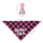 4pcs Dog Birthday Party Supplies, Birthday Boy Dog Bandana, Dog Birthday Hat with Numbers for Medium Large Dogs Pets