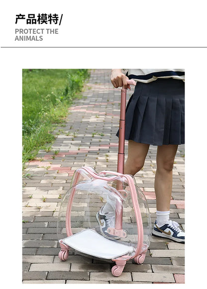 Pet Trolley Case, Fully Transparent Cat Case, Breathable Space Cabin Cat Bag, Outdoor Bag, Portable Small Dog Bag